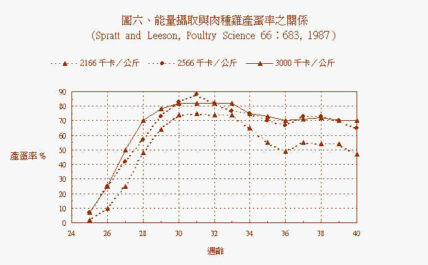 wpe16.jpg (31610 bytes)