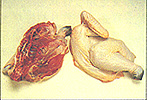 8301-6b.jpg (19181 bytes)