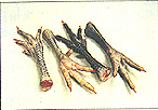 8301-6a.jpg (16018 bytes)